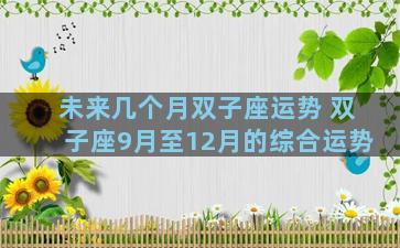 未来几个月双子座运势 双子座9月至12月的综合运势